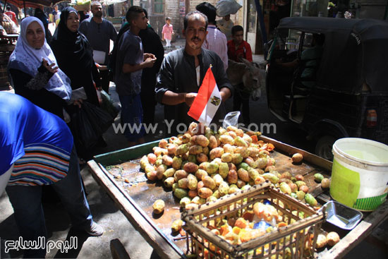 اليوم السابع -8 -2015